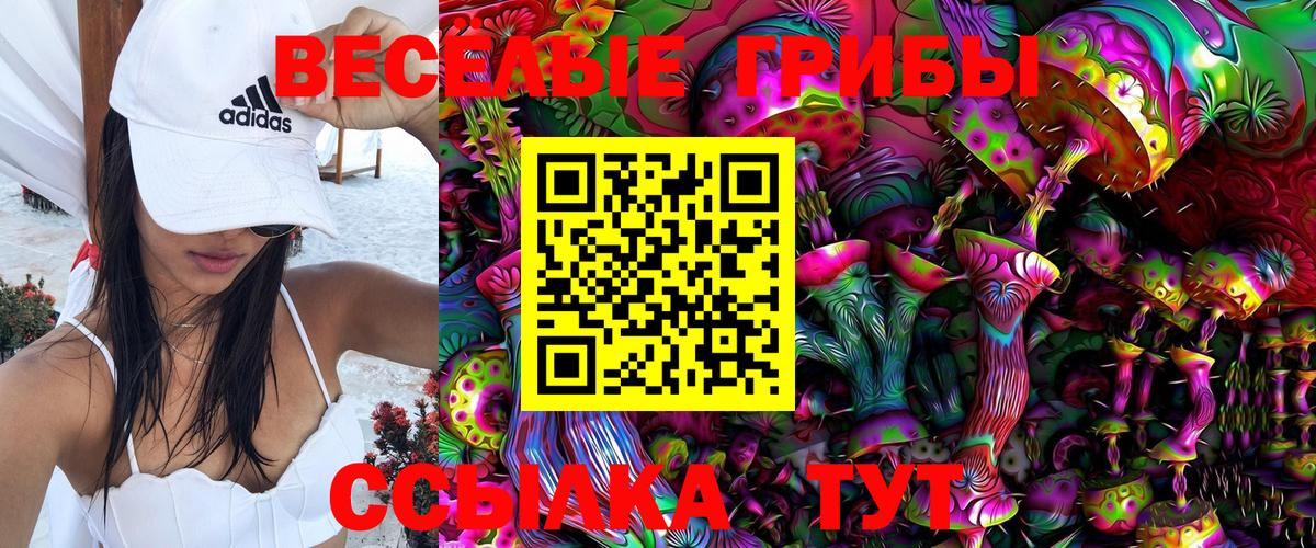 Псилоцибиновые грибы Cubensis Владивосток