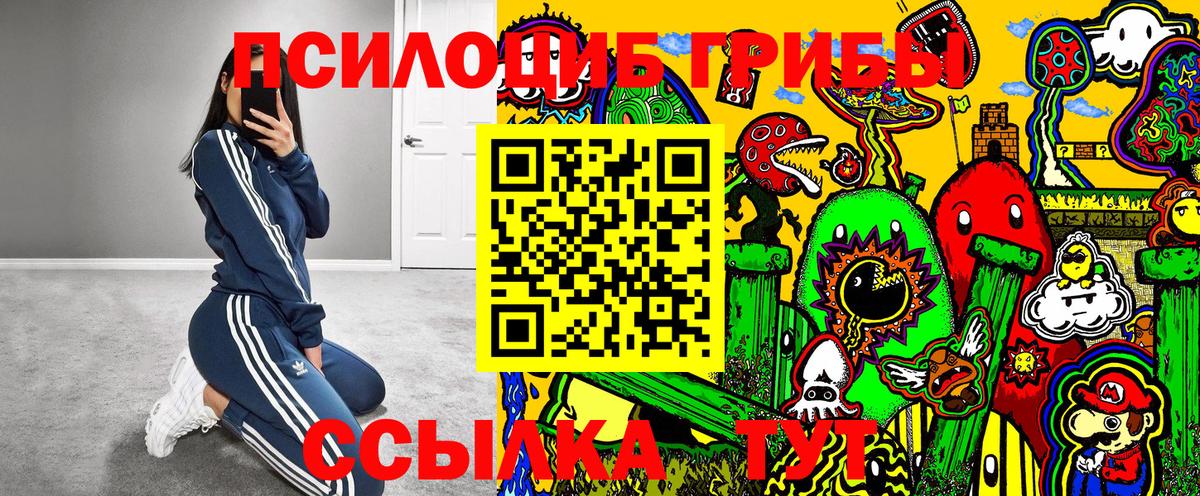 Псилоцибиновые грибы Magic Shrooms  цена   Владивосток  Вход с VPN 